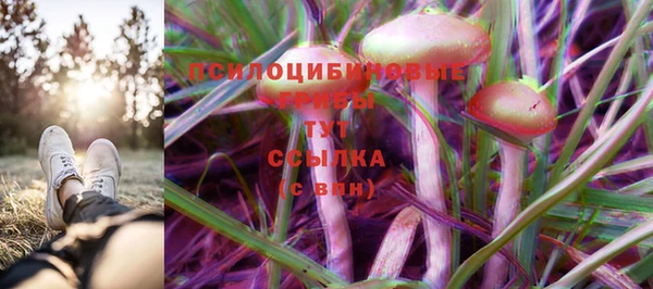 spice Зеленокумск