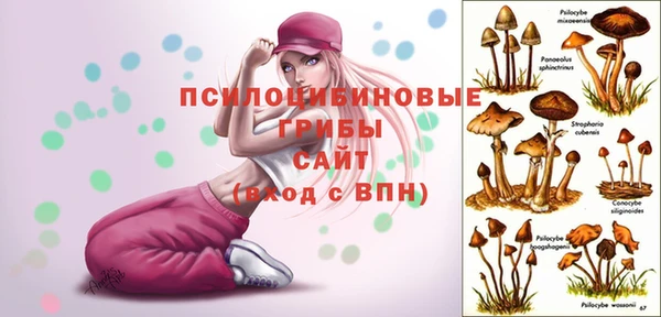 spice Зеленокумск