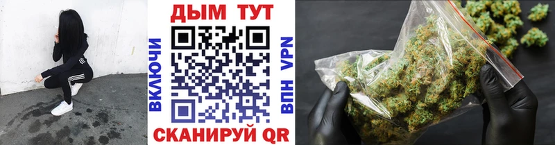 дарнет шоп  Шацк  Бошки марихуана гибрид 